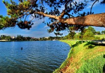  Tour Du Lịch Đà Nẵng - Miền Tây Nam Bộ 9 Ngày